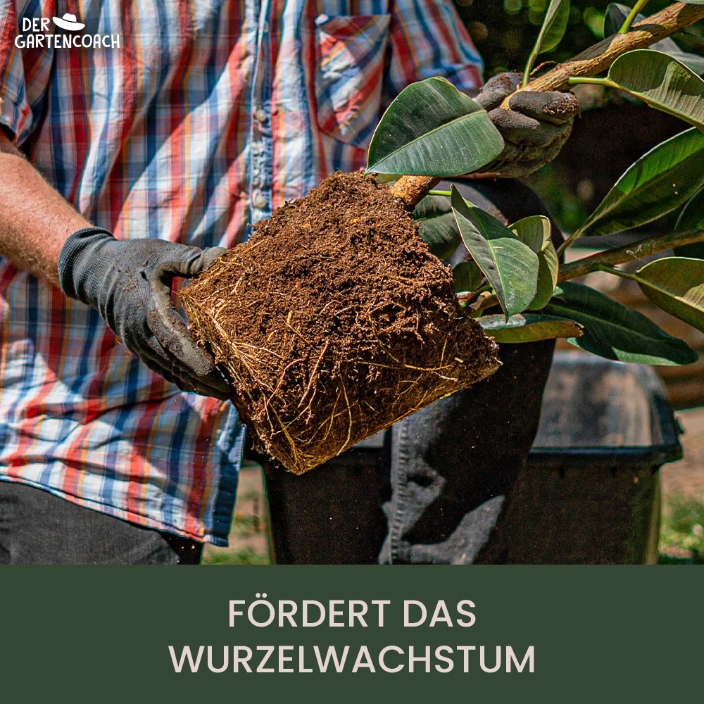 Bodenaktivator 2,5kg - Gartencoach