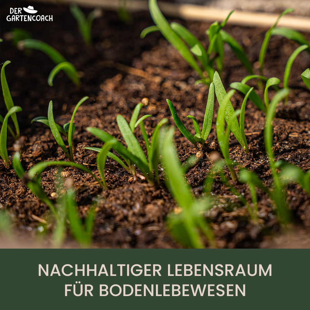 Bodenaktivator 2,5kg - Gartencoach