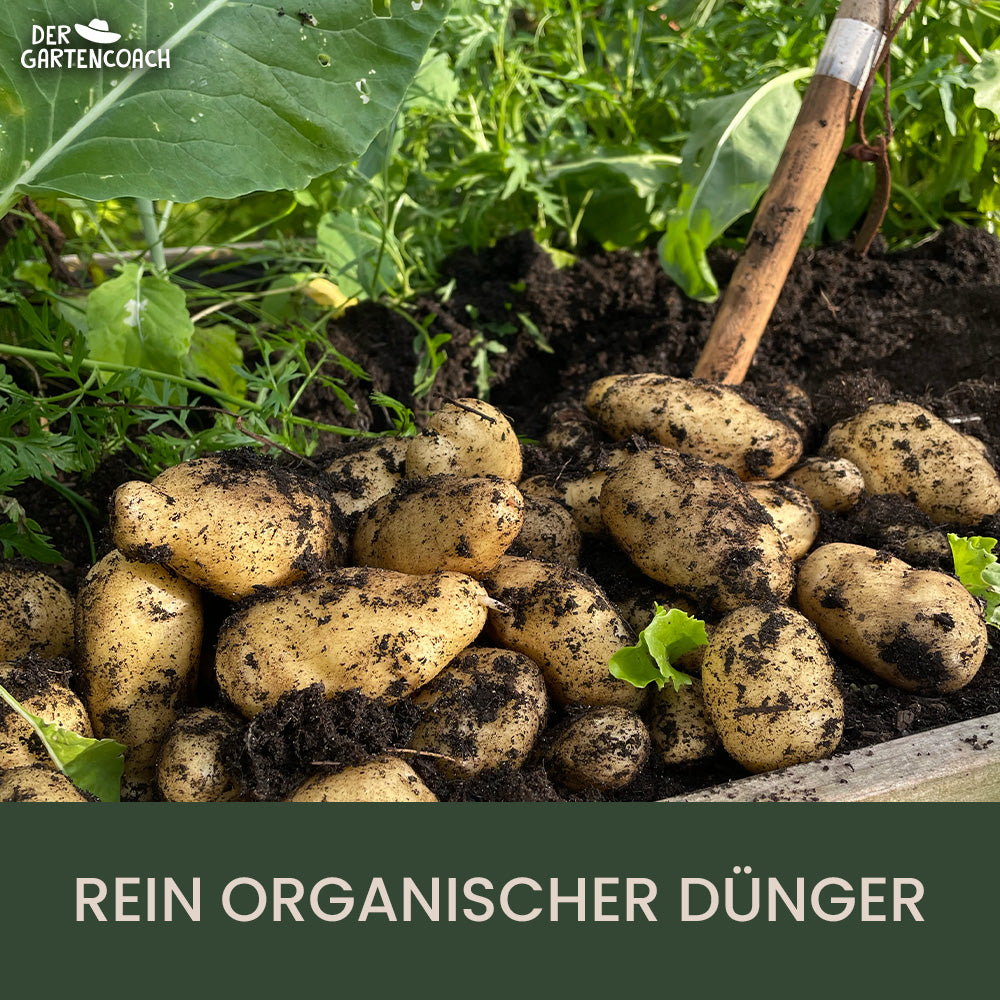 Gartencoach Gemüsedünger 5 kg – Für kräftiges Wachstum & gesunde Ernte –  Der Gartencoach