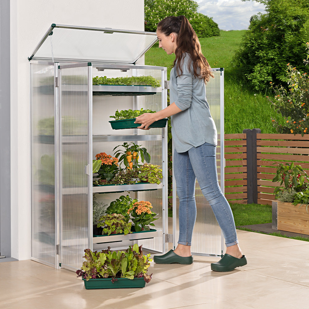 Gemüse Anzucht Gewächshaus