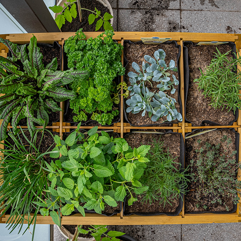 Kräuterhochbeet hochwertig