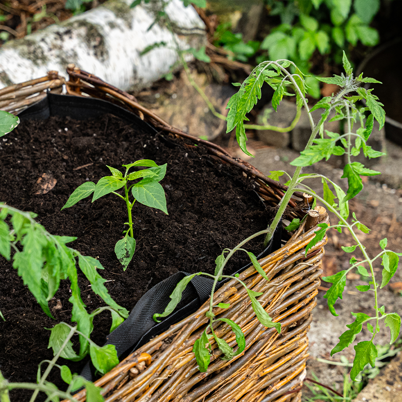 Hochbeet Weide 100x40x40cm + Pflanztasche