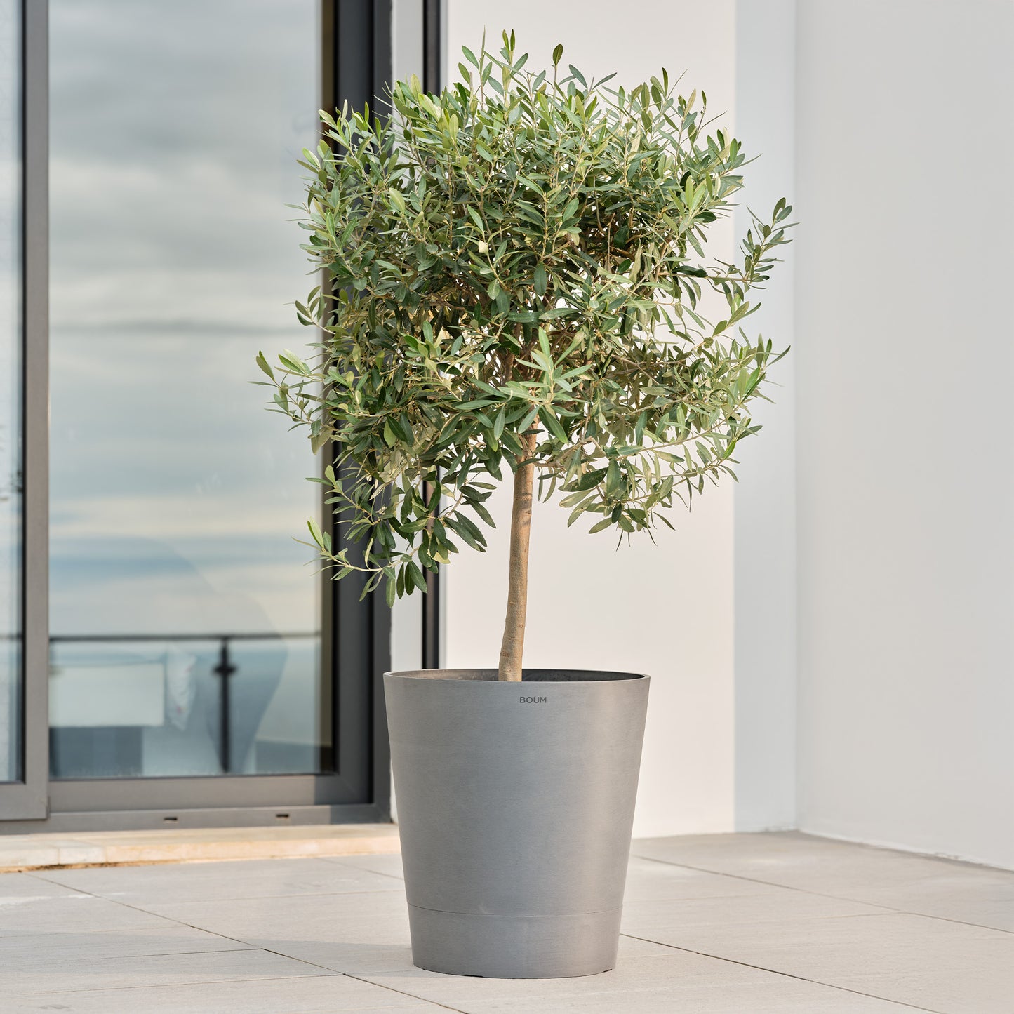 Boum Topf 30 L Pro - Erweiterung automatische Bewässerung