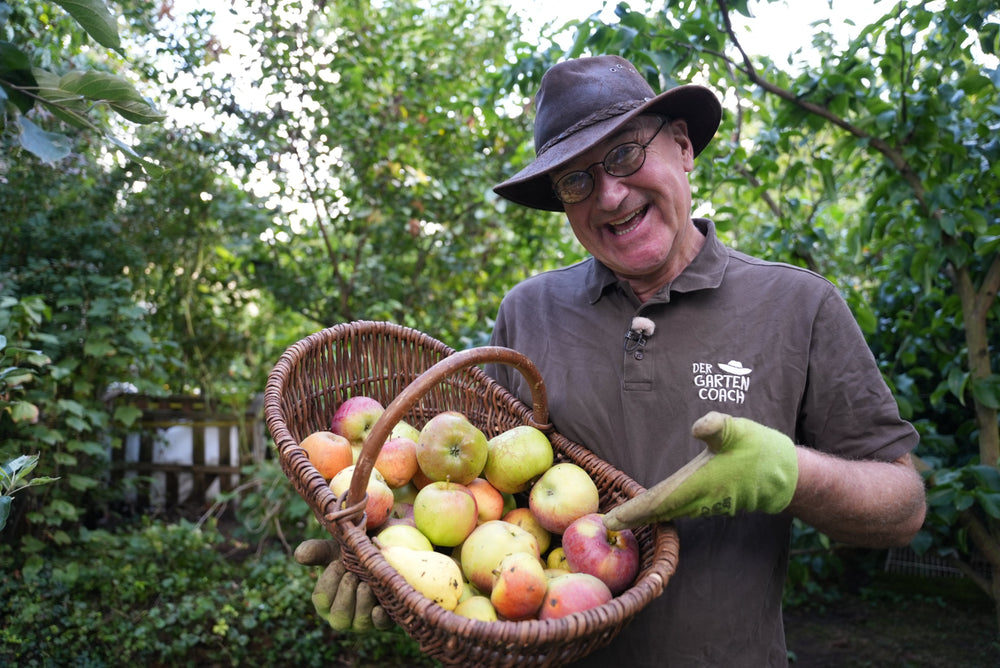 Der Gartencoach mit Fallobst
