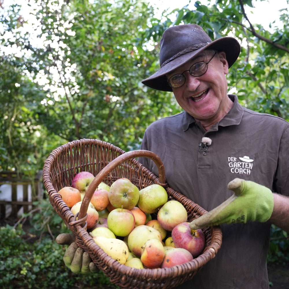 Der Gartencoach mit Fallobst