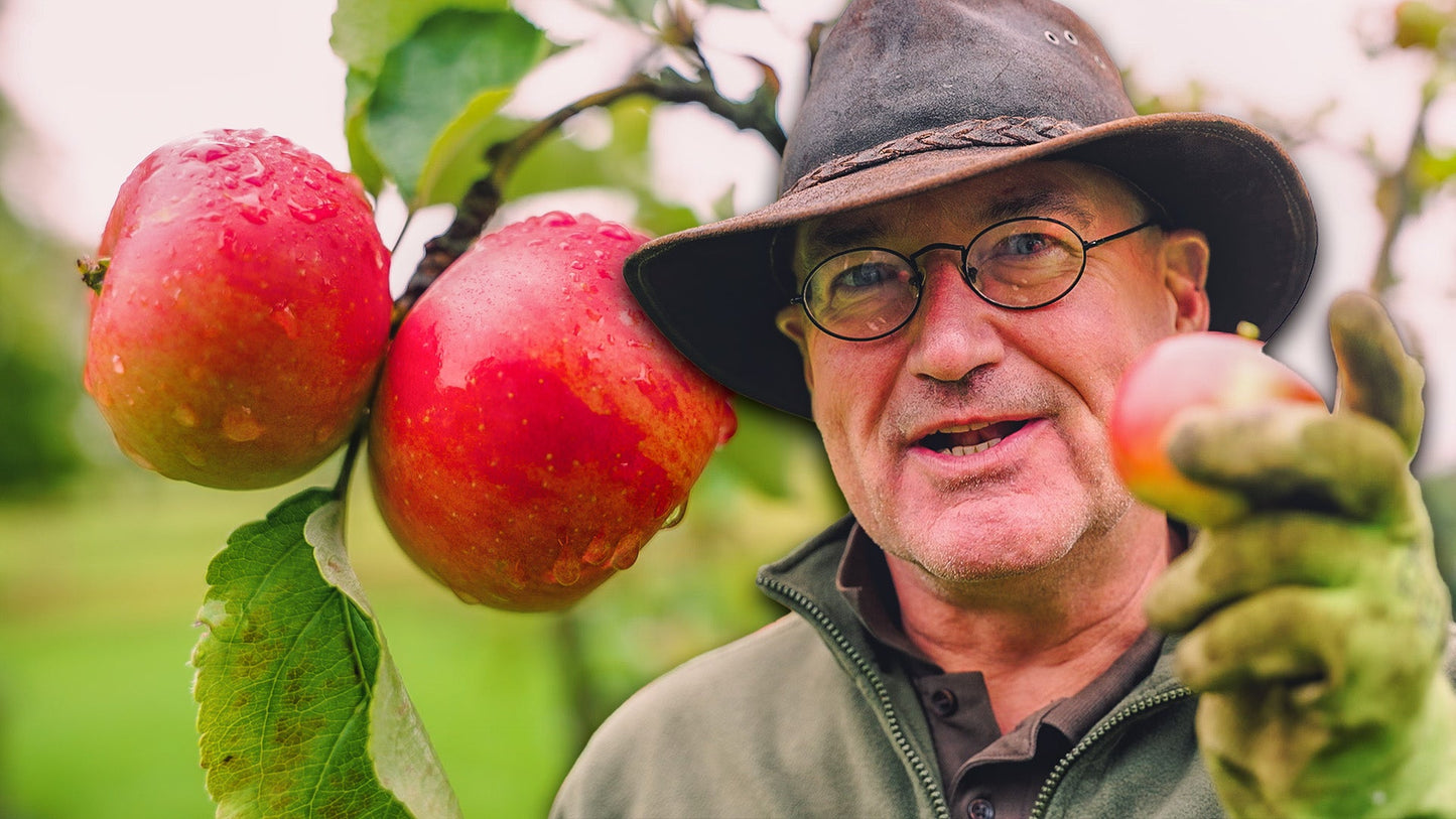 Der Gartencoach mit Apfel