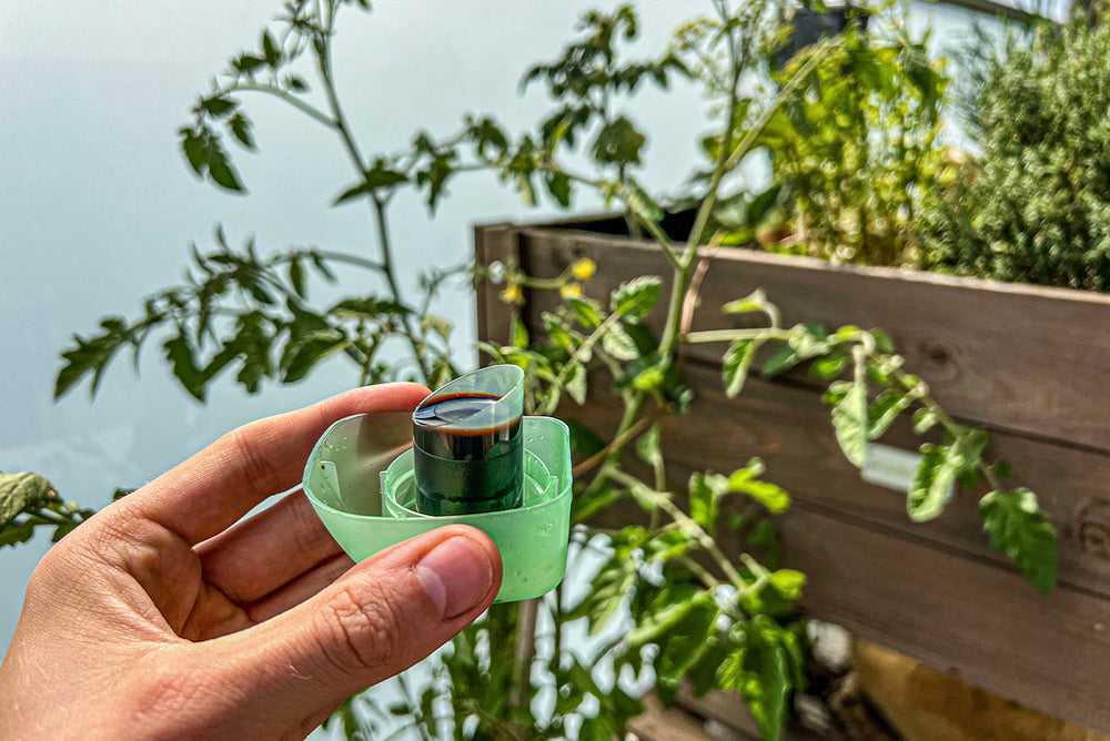 Flüssigdünger vor einer Tomaten Pflanze