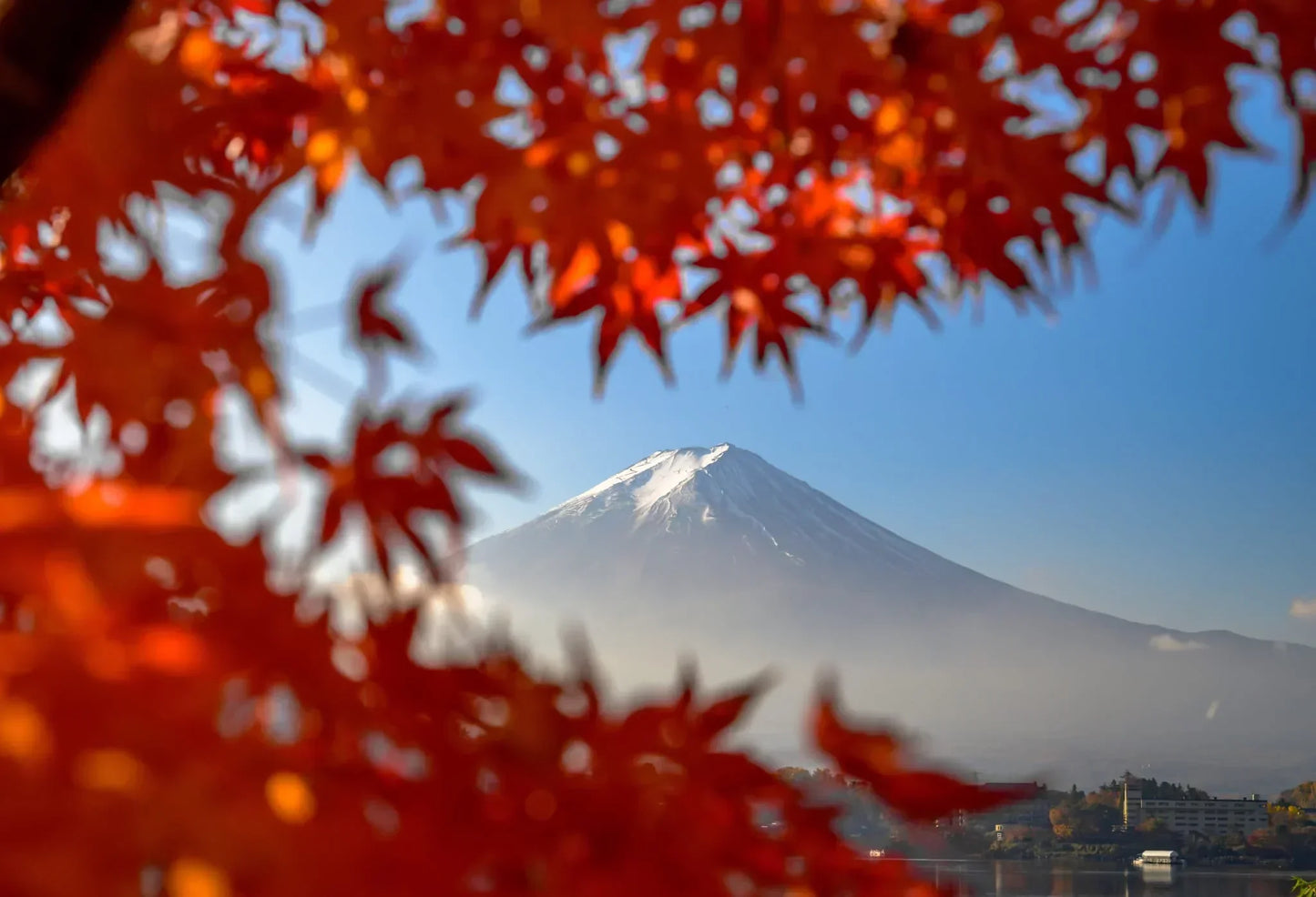 Gartenreise Japan: zur Herbstfärbung nach Kyoto, Nara und in die Japanischen Alpen