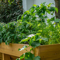 Bewachsenes Hochbeet im Garten