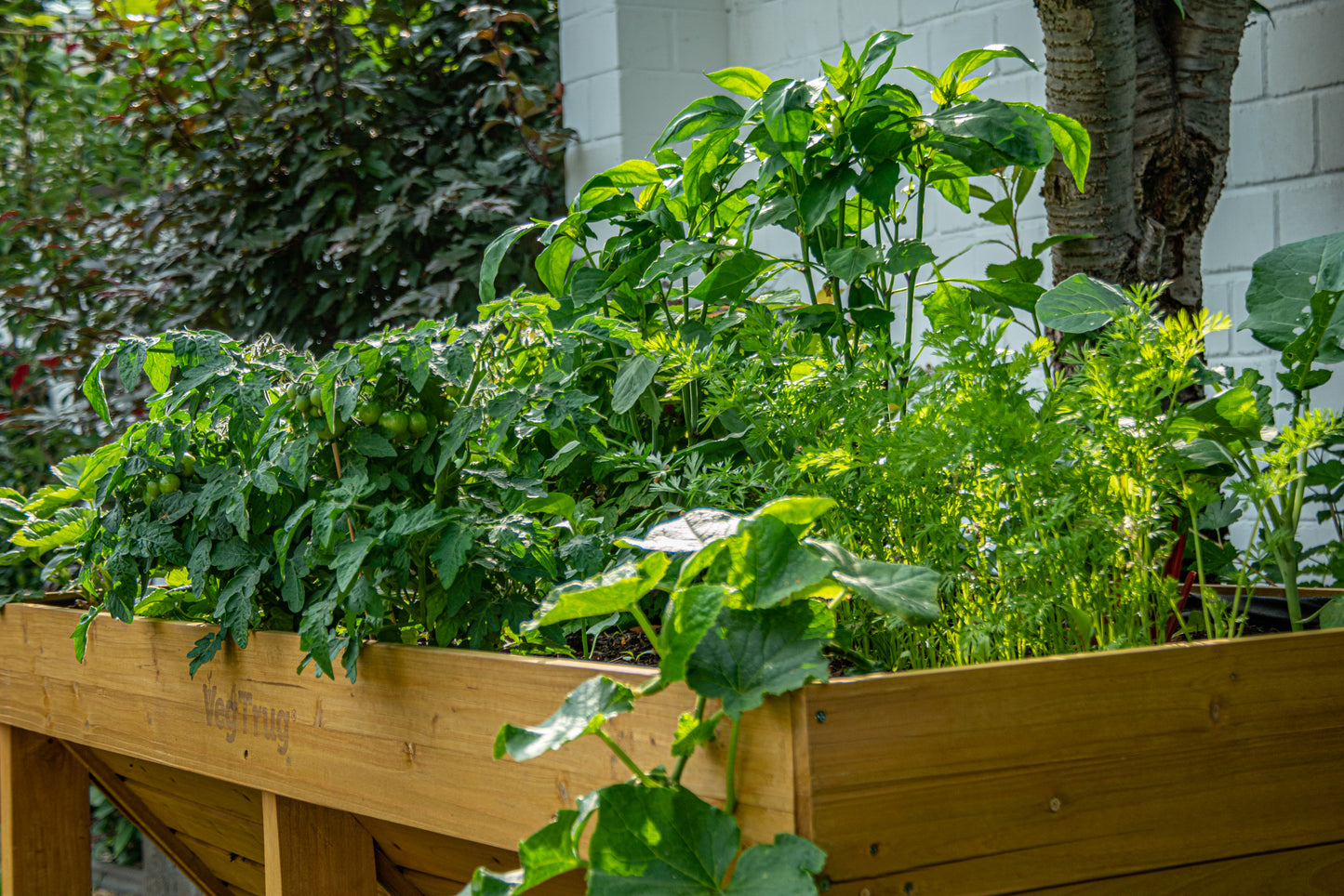 Bewachsenes Hochbeet im Garten