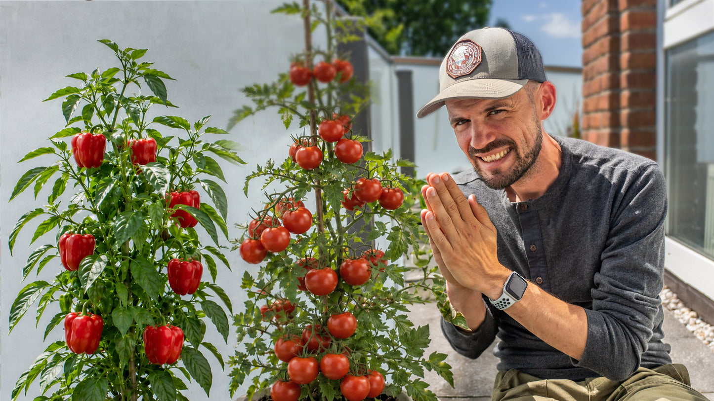 Gemüse auf dem Balkon anbauen – so klappt es bei Hitze