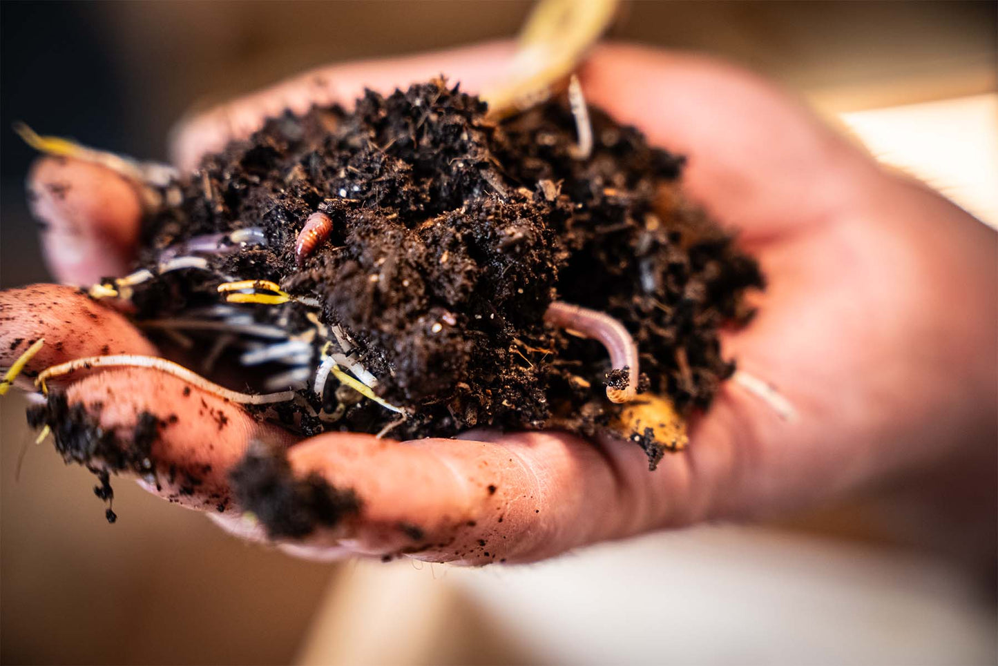 Natrlich dngen  warum gesunde Bden die besten Ernten bringen  Der  Gartencoach