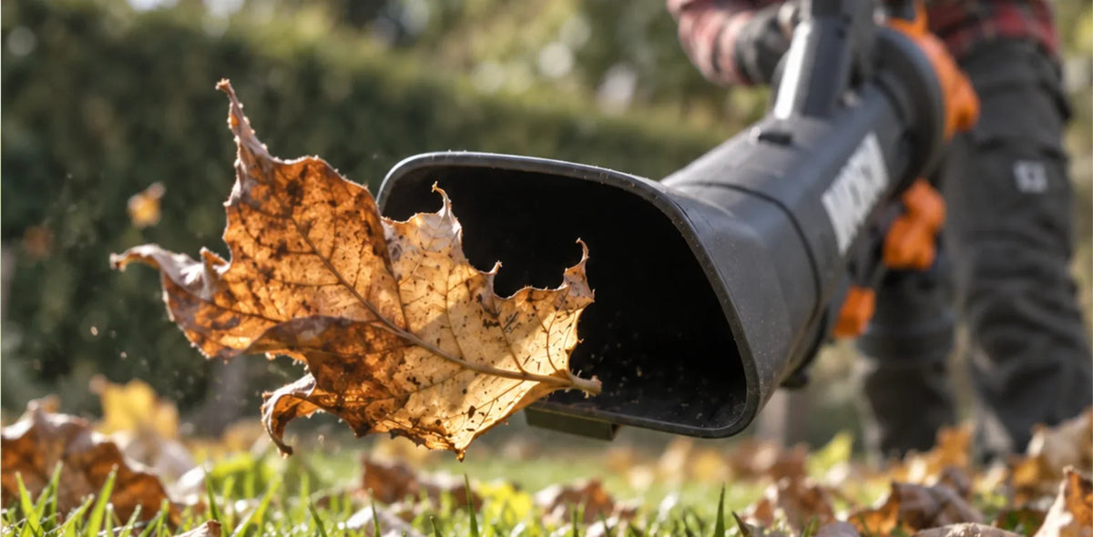 Herbstblatt fliegt vor der Düse eines Laubsaugers über einem laubbedeckten Rasen