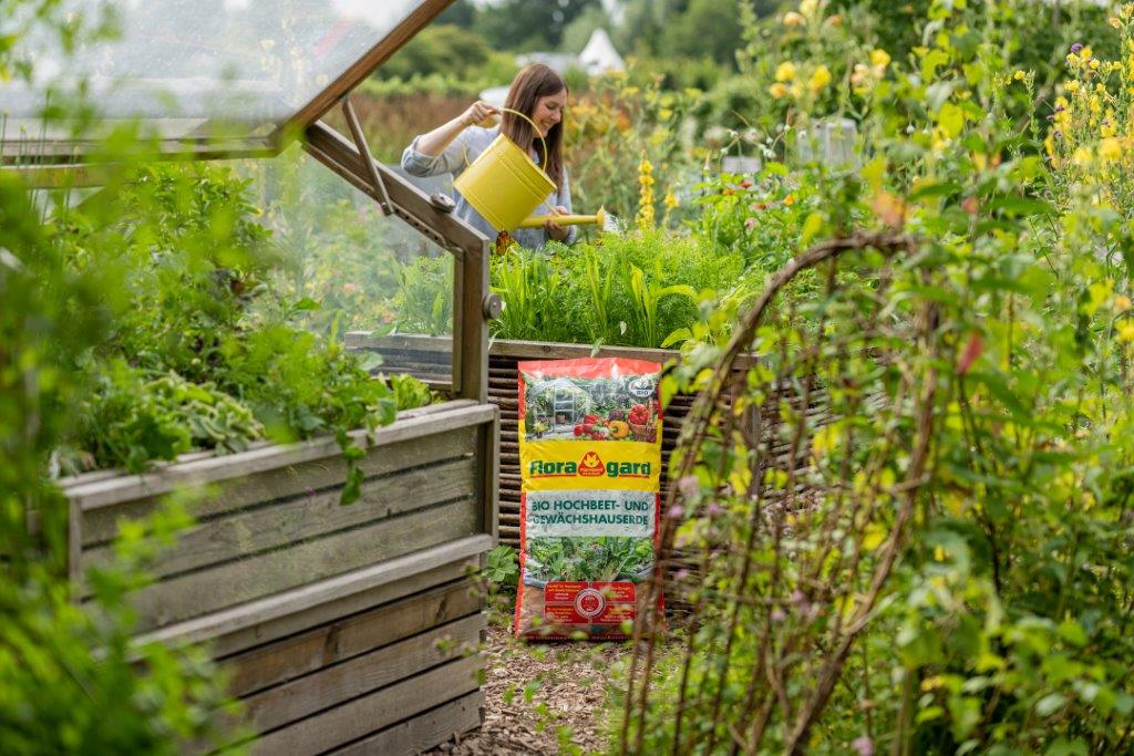 
                  
                    Floragard Bio Hochbeet- und Gewächshauserde 70 Liter
                  
                