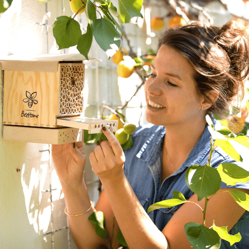
                  
                    BeeHome Observer Bienenhaus für Wildbienen als Nisthilfe
                  
                