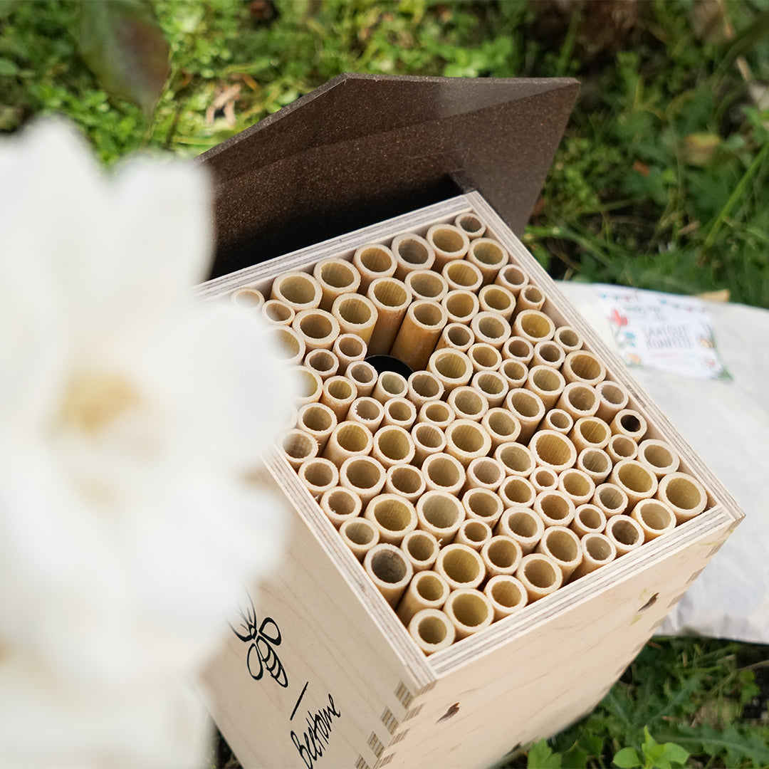 
                  
                    BeeHome Bienenhaus für Wildbienen als Nisthilfe
                  
                