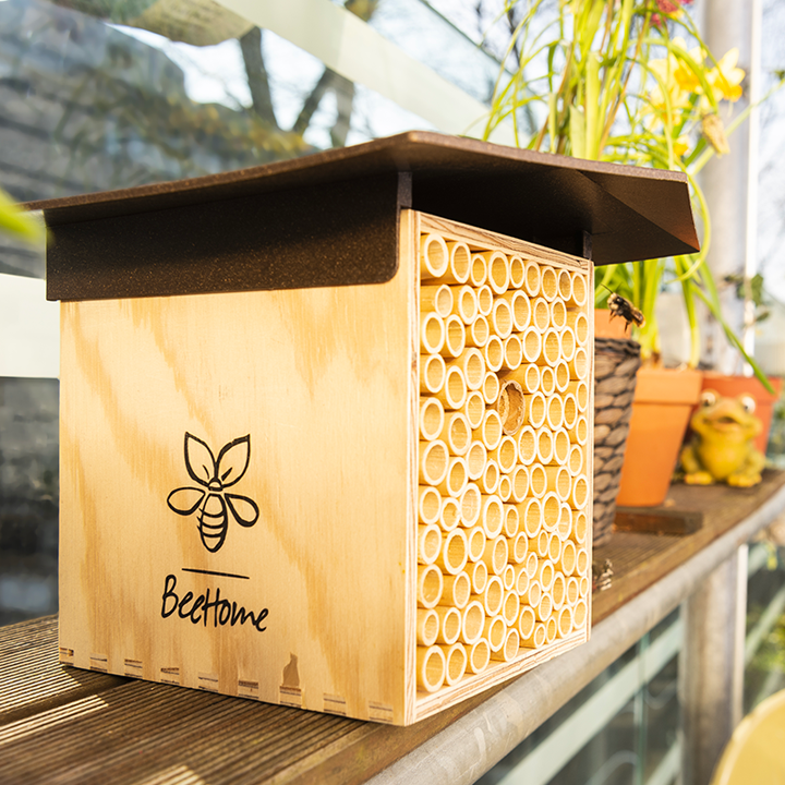 
                  
                    BeeHome Bienenhaus für Wildbienen als Nisthilfe
                  
                