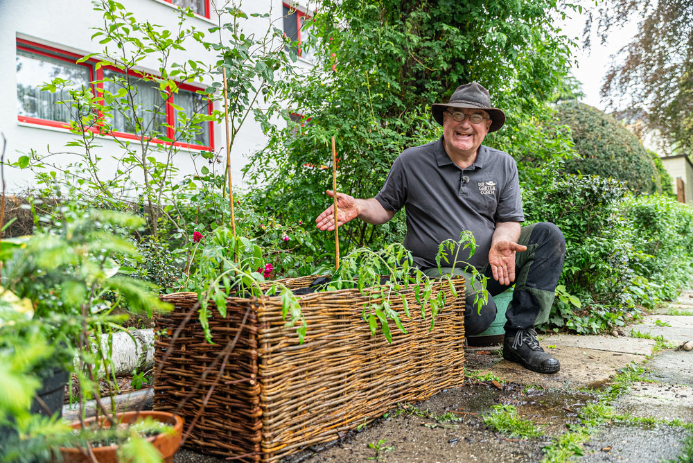 Der Gartencoach präsentiert sein mit Tomaten bepflanztes Hochbeet