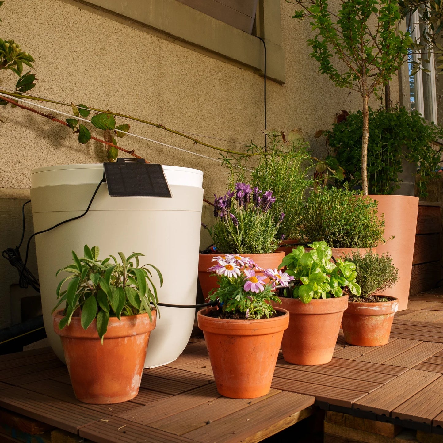 Boum Drip Starterpaket für Balkon und Terrasse