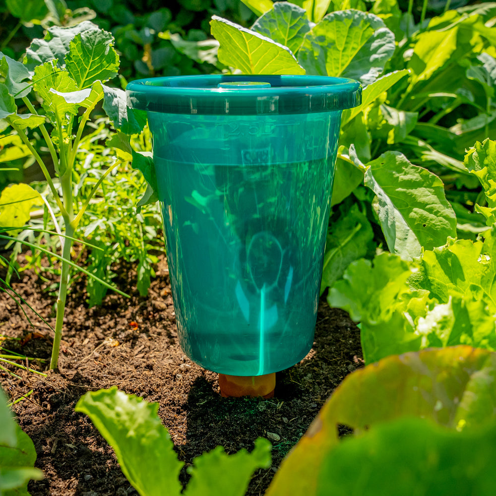 
                  
                    Hochbeet Bewässerungssystem "Hydro Cup" mit Tonkegel und Becheraufsatz
                  
                