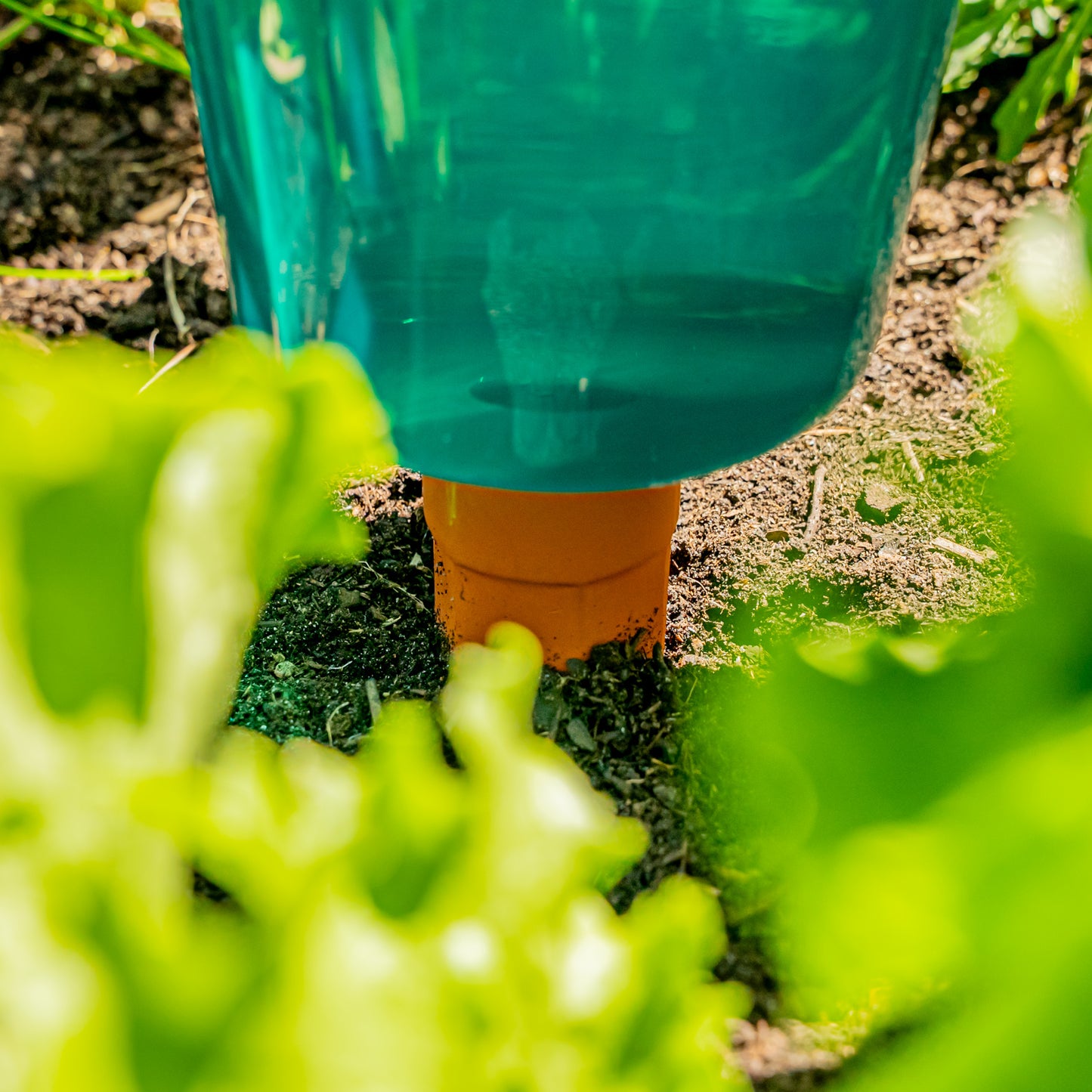 
                  
                    Hochbeet Bewässerungssystem "Hydro Cup" mit Tonkegel und Becheraufsatz
                  
                