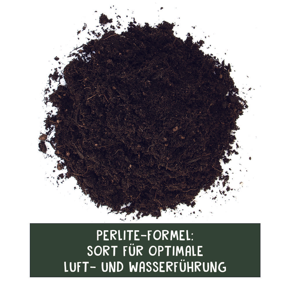
                  
                    Floragard Aussaat- & Kräutererde - Bio-Erde Aromatisch - 3x10l Vorteilspaket
                  
                