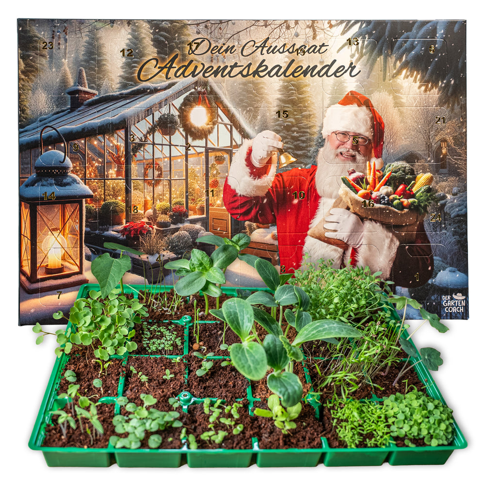 Saatgut Adventskalender - 24 Überraschungen für Pflanzen- und Gartenfreunde