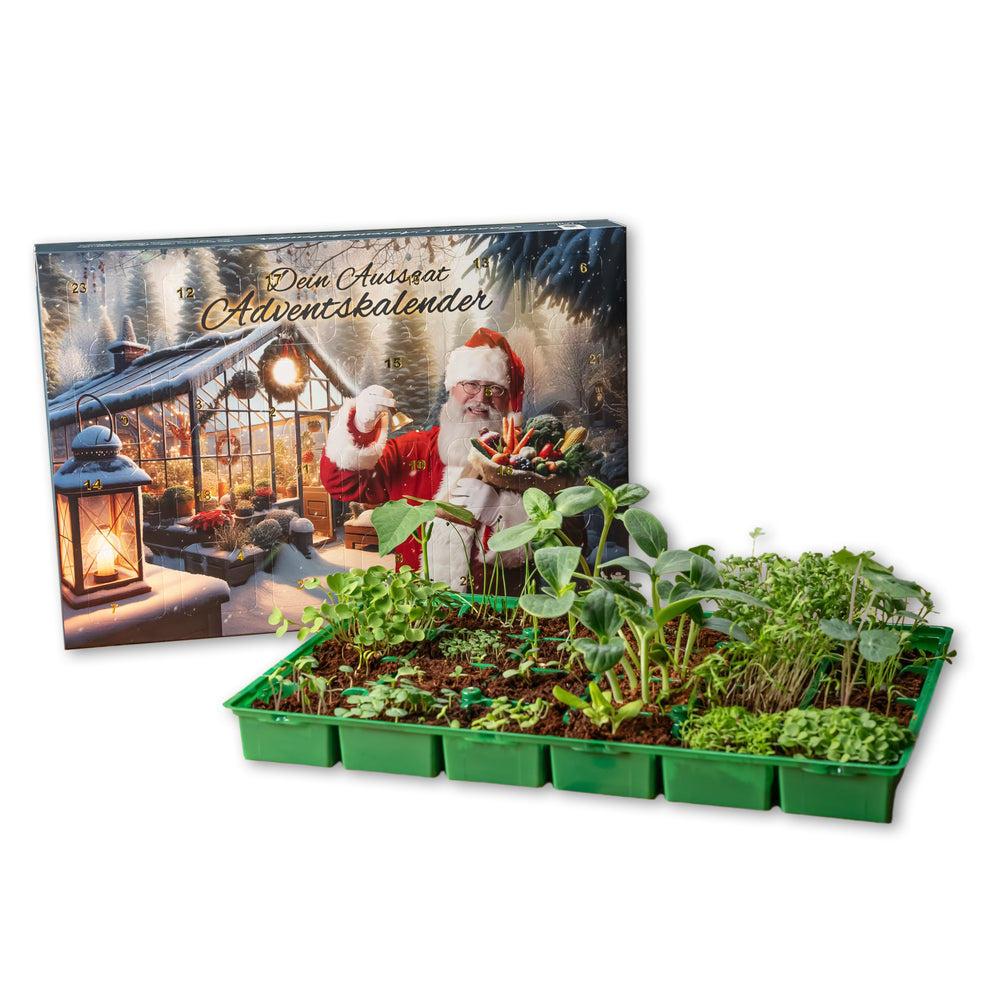 Saatgut Adventskalender - 24 Überraschungen für Pflanzen- und Gartenfreunde