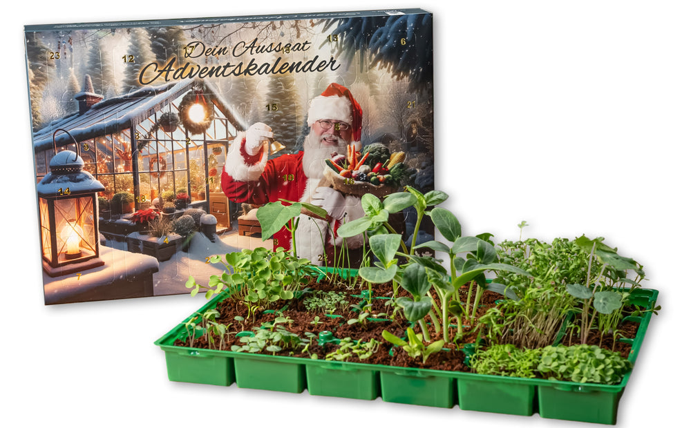 Der Gartencoach Adventskalender 🎅 24 Überraschungen für Pflanzenfreunde