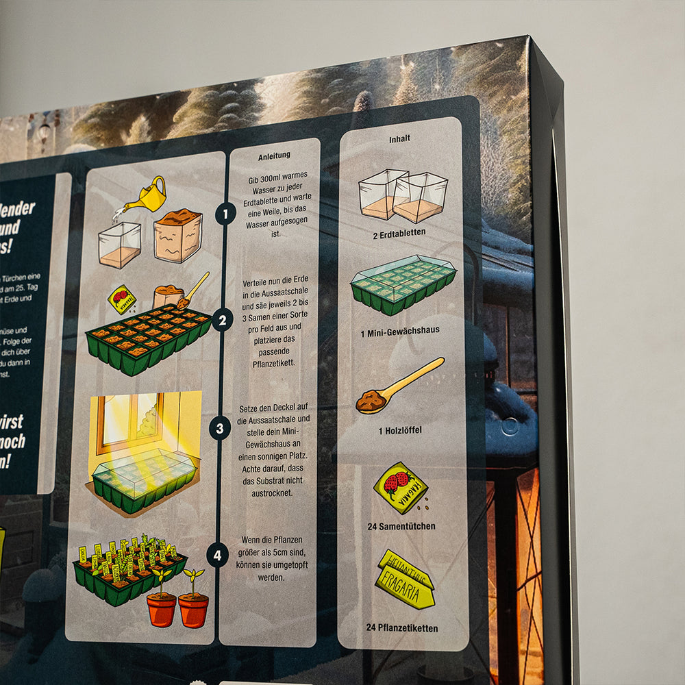 Adventskalender Anleitung Aufzucht Samenset