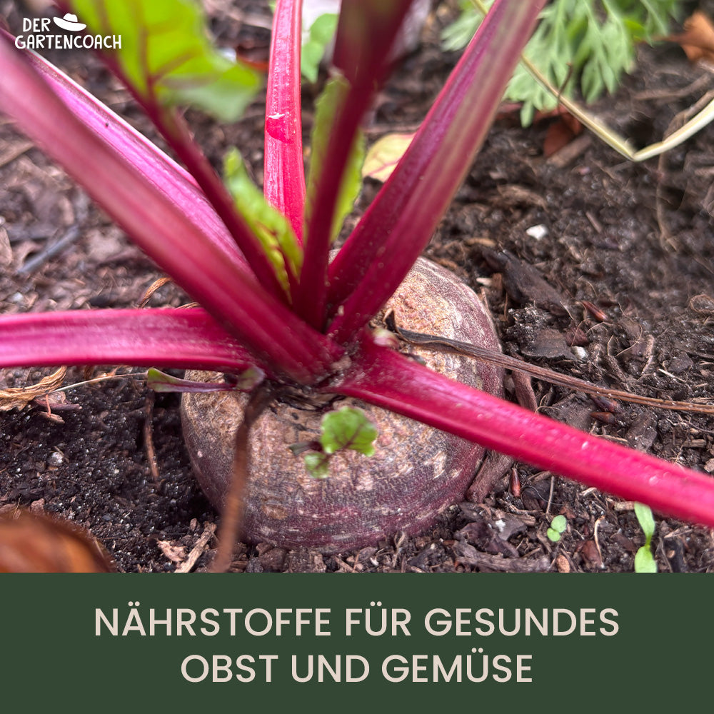 
                  
                    Bio Gemüsedünger 2,5kg (NPK 6-1,5-3)
                  
                