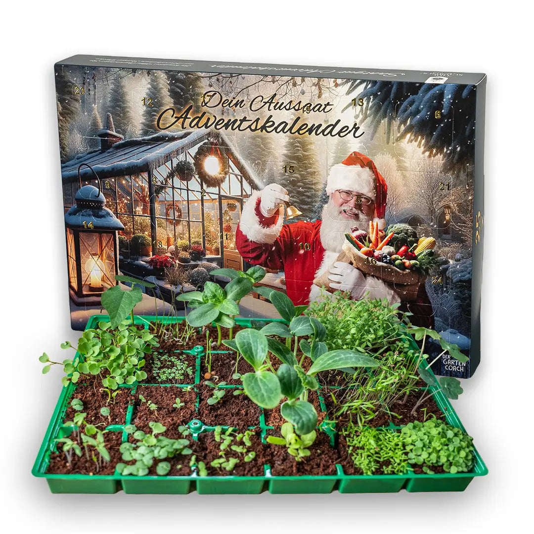 Saatgut-Adventskalender vom Gartencoach mit 24 Türchen, Vorderseite