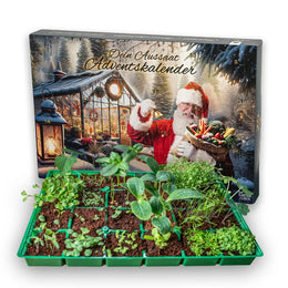 Saatgut-Adventskalender vom Gartencoach mit 24 Türchen, Vorderseite