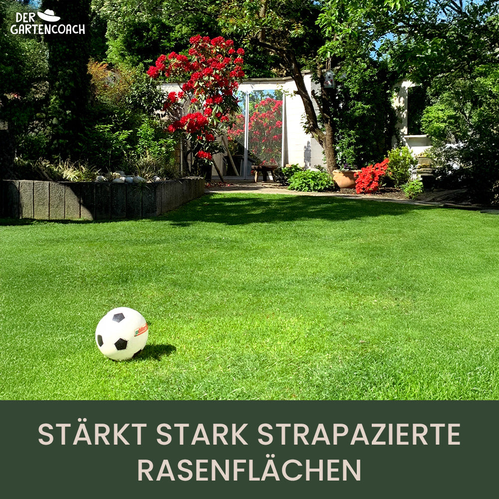
                  
                    Bio Rasendünger 2,5kg (NPK 10-2-4)
                  
                
