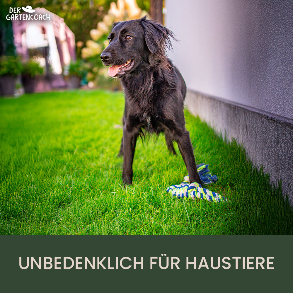 
                  
                    Bio Rasendünger 2,5kg (NPK 10-2-4)
                  
                