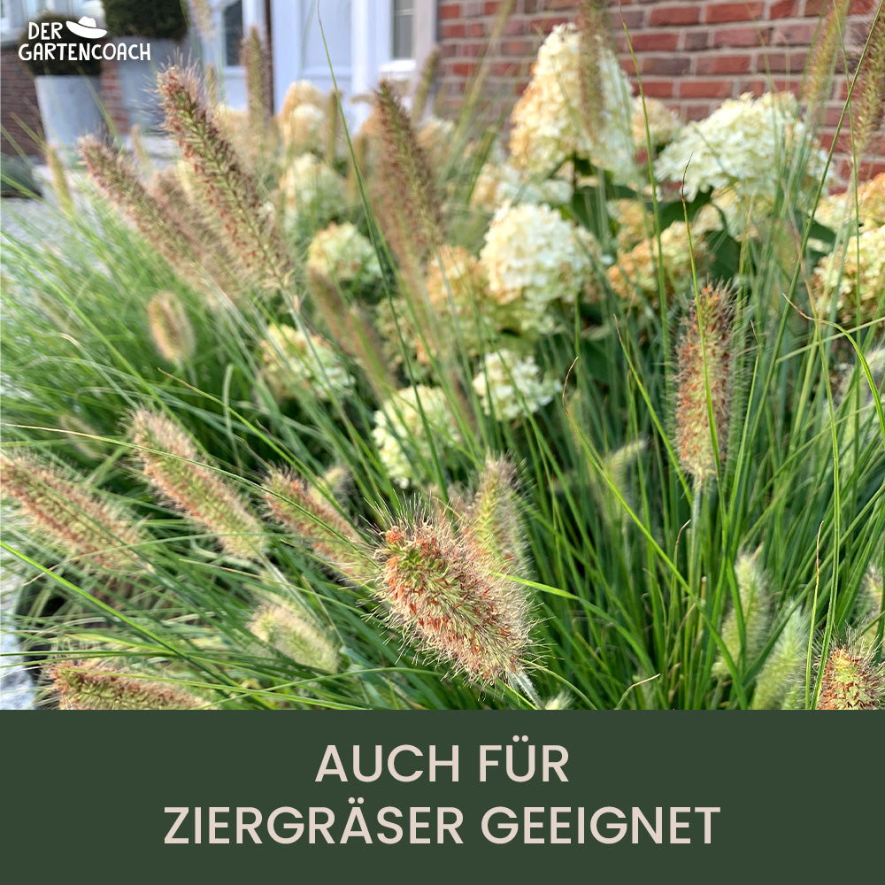
                  
                    Bio Rasendünger 2,5kg (NPK 10-2-4)
                  
                