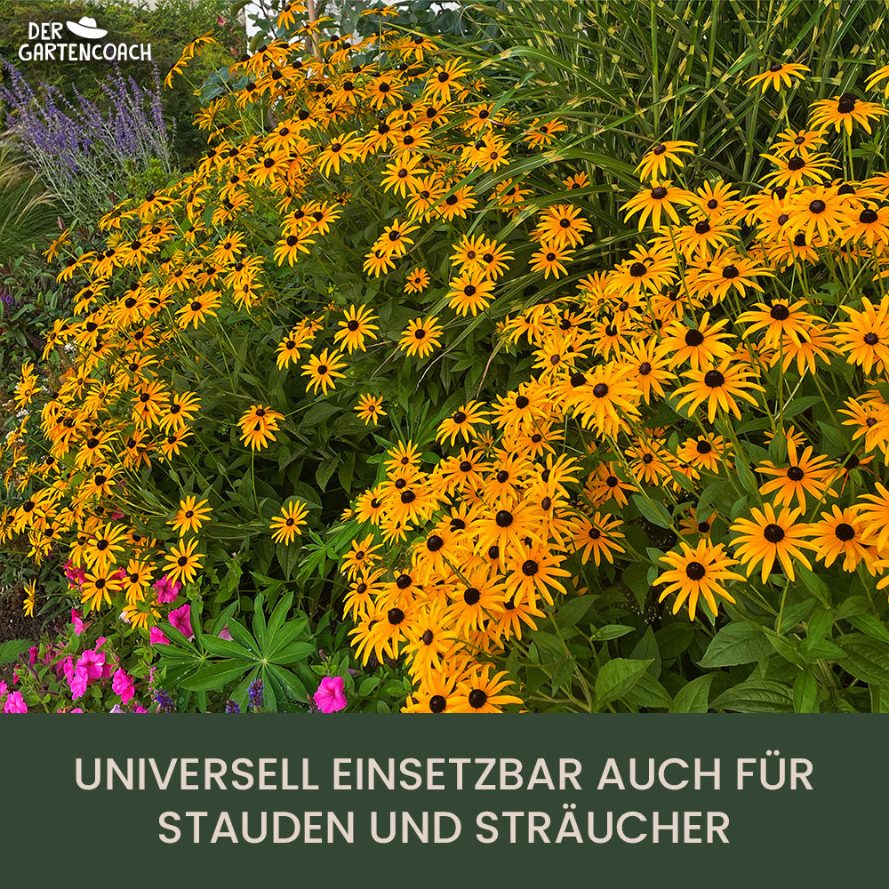 
                  
                    Bio Rosen- und Blumendünger 2,5kg (NPK 6-3-6)
                  
                