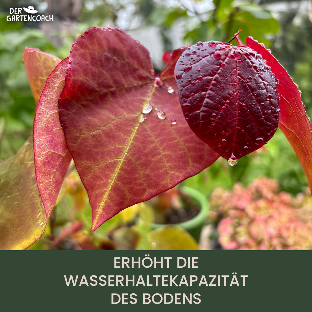 
                  
                    Bio Rosen- und Blumendünger 2,5kg (NPK 6-3-6)
                  
                