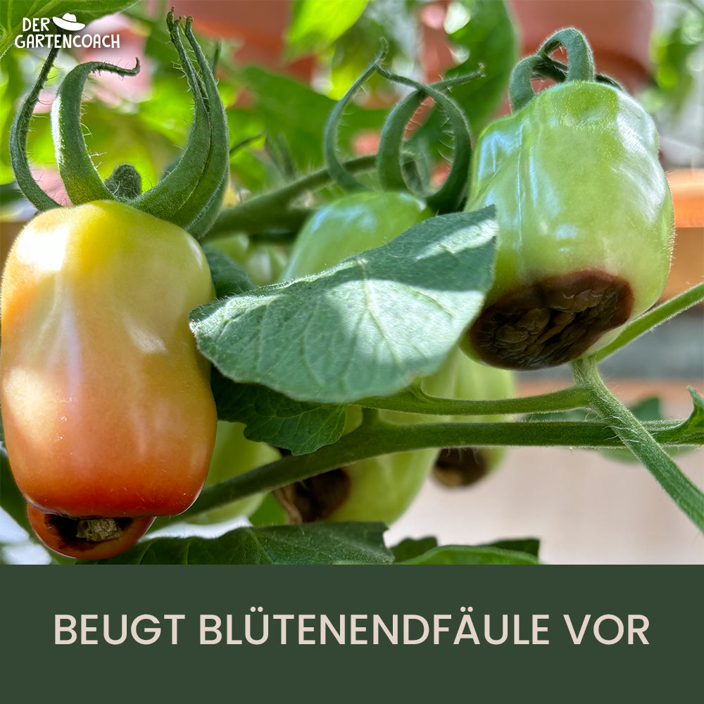 
                  
                    Bio Tomatendünger 2,5kg (NPK 6-3-6)
                  
                