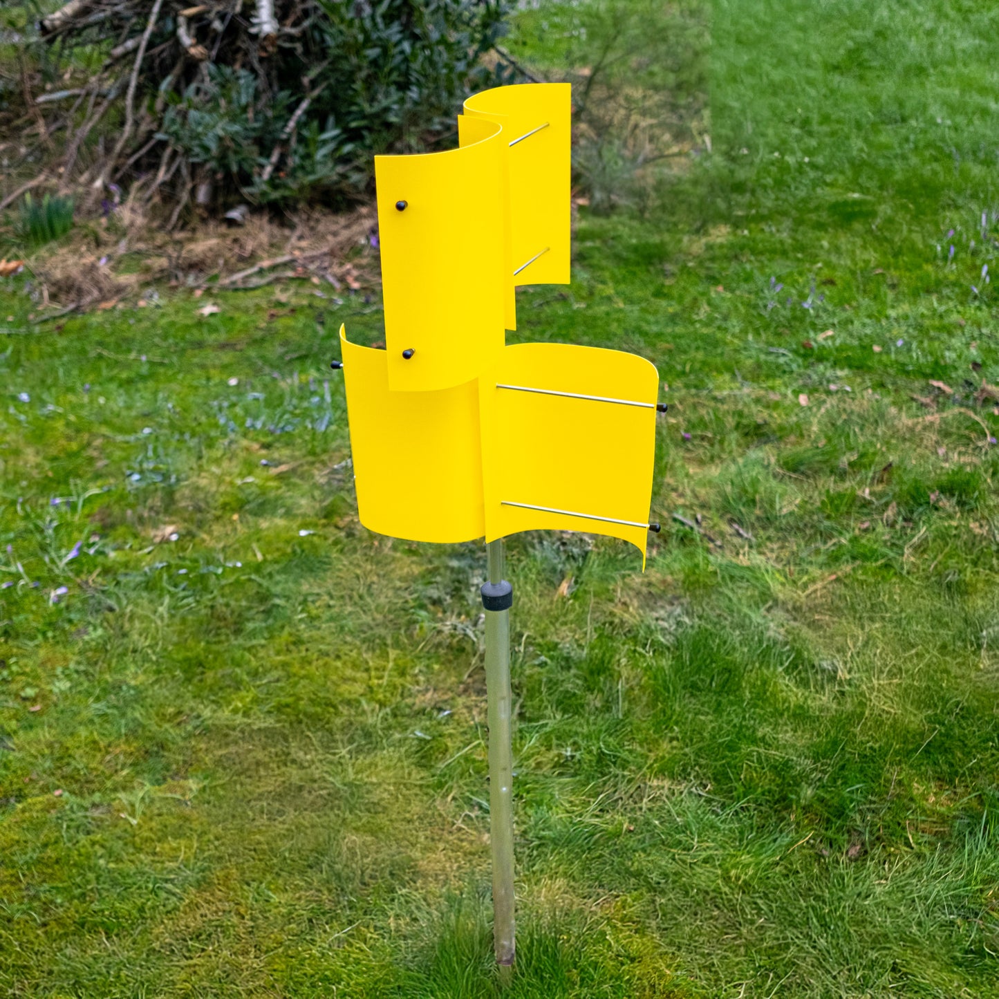 Wühlmausscheuche im Garten in gelb