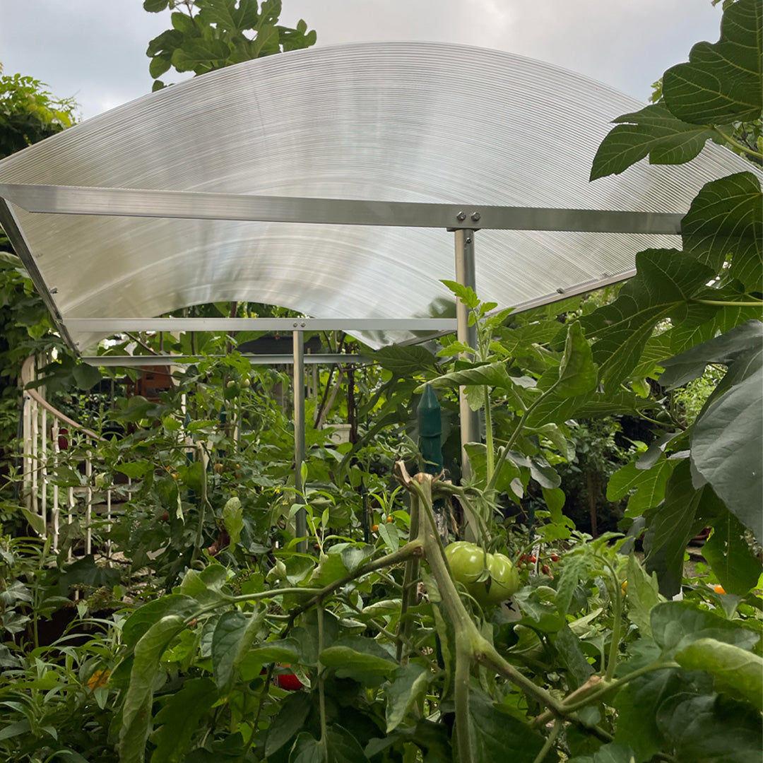 
                  
                    Schutzdach für Pflanzen - Beckmann
                  
                